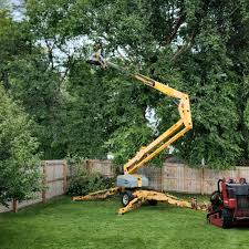 Best Tree Mulching  in Ossian, IN