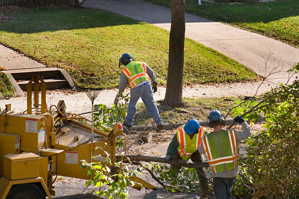 Lawn Watering Services in Ossian, IN