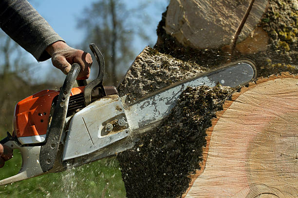 Mulching Services in Ossian, IN